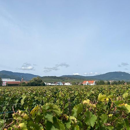 Oasis Tout Confort A Bergheim, Alsace Екстериор снимка