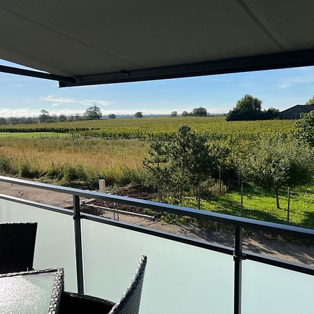 Oasis Tout Confort A Bergheim, Alsace Екстериор снимка