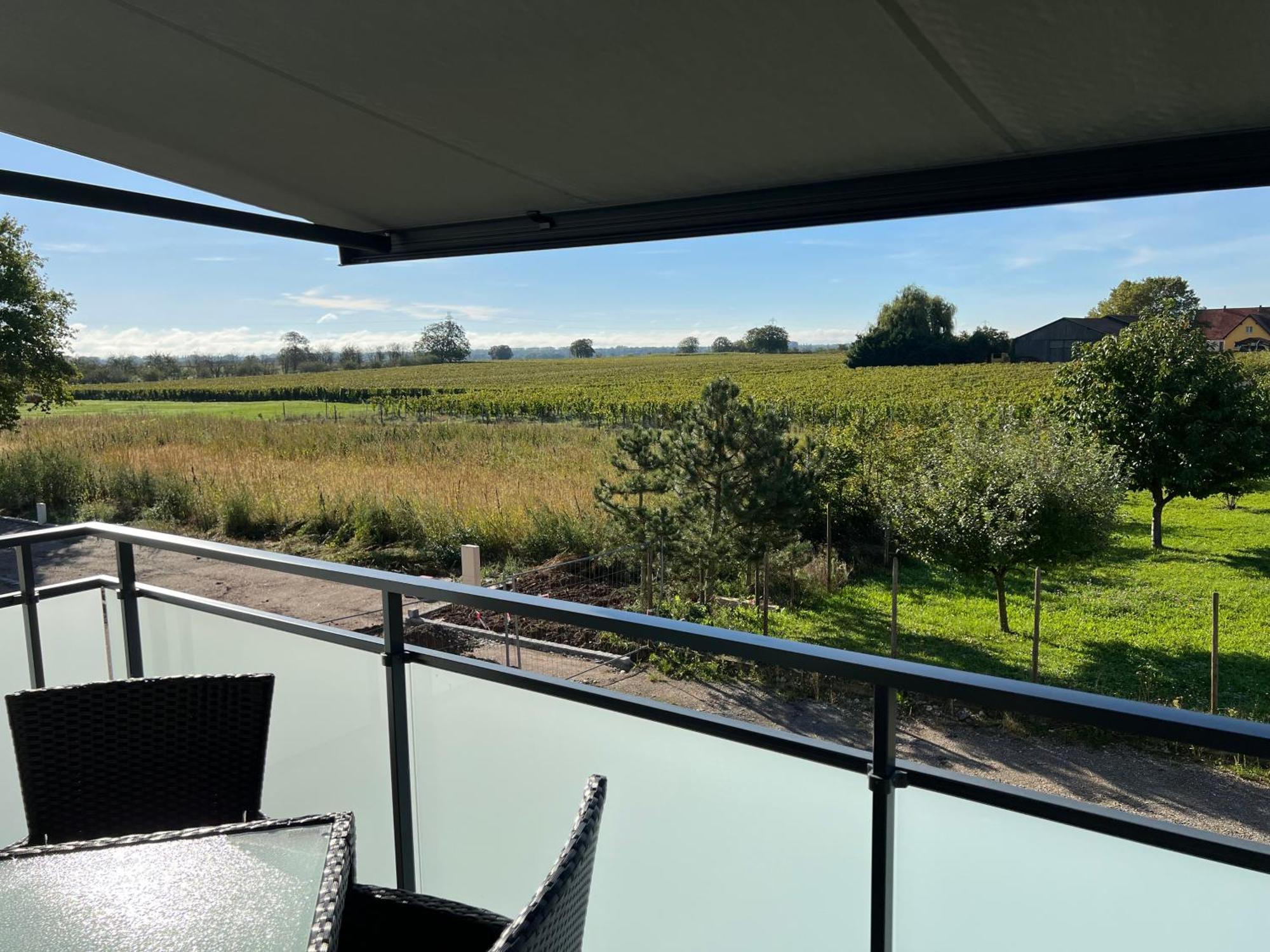 Oasis Tout Confort A Bergheim, Alsace Екстериор снимка